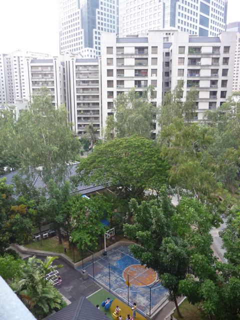 P1010569 (1)